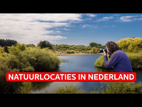 FOTOGRAFEREN in de DUINEN | Fotolocaties in Nederland | Zoom.nl