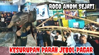 MBEROT EDAN || ROGO ANOM SEJATI bantengan bringas live sumberawan singosari