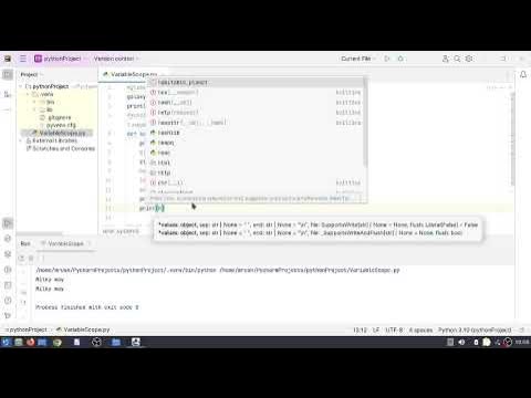 How to use global variables in global scope and local variables in ...