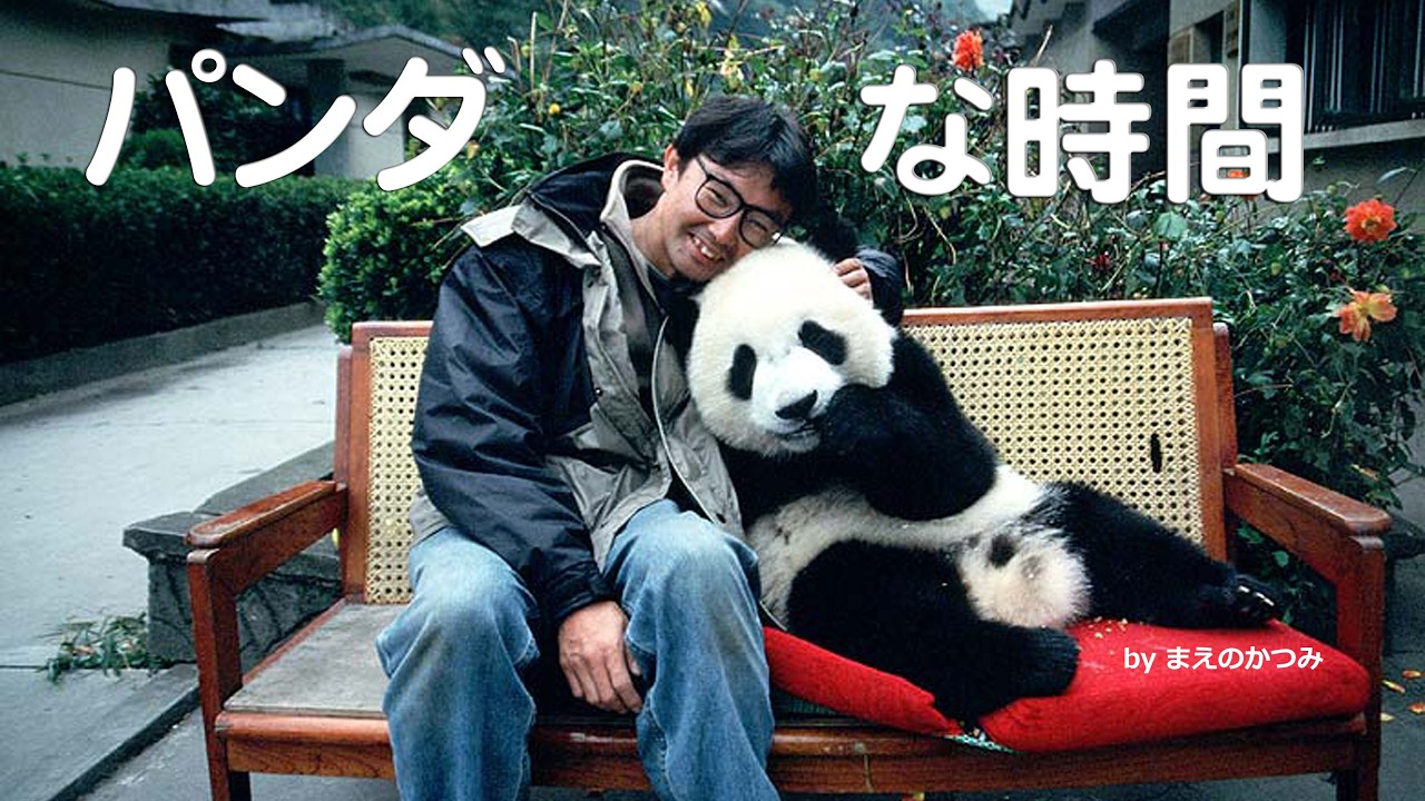 パンダな時間 Panda-ish time 4K - YouTube