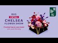 Practical tips to help you use water effectively in your garden | RHS Virtual Chelsea 2021