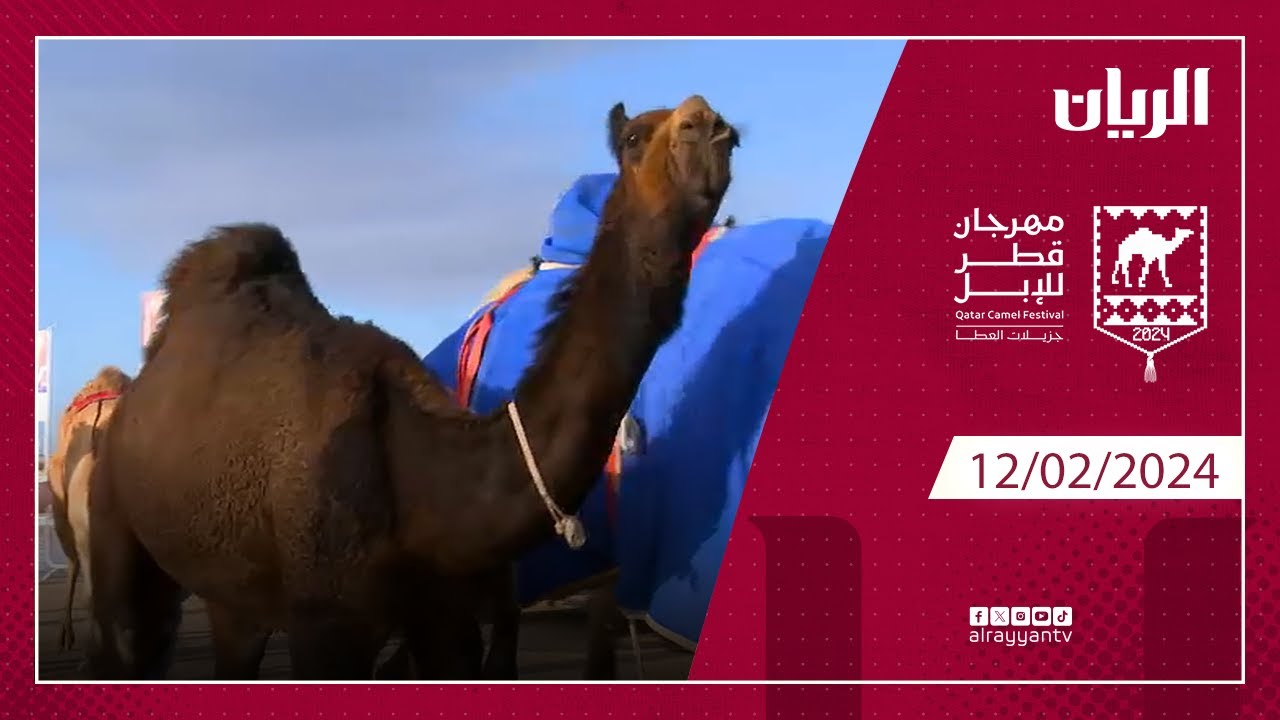 مهرجان قطر للإبل 12-02-2024 جزيلات العطا
