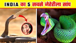 India की 5 सबसे ख़तरनाक जेहेरीला सांप  || Top 5 most venomous snake in India || snake trending