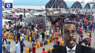 Fuel Scarcity Amidst High Prices An Indictment On FG -Rewane
