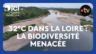 The Loire is drying up: the images are alarming