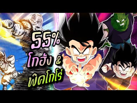 รีวิว โกฮัง&พิคโกโร่แดง 55% LINK LV.5-9 (Dokkanbattle)