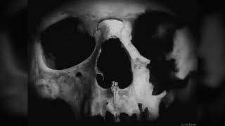 Watch King Diamond A Visit From The Dead video
