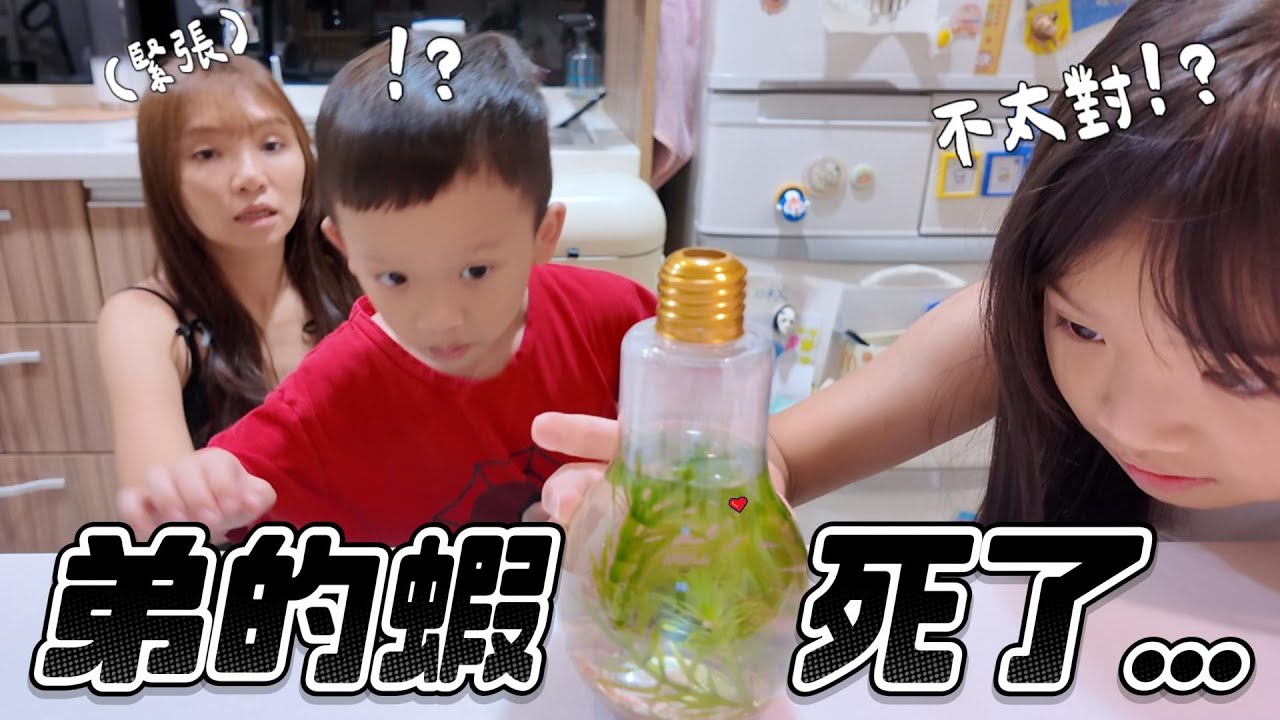 (日常) 睿弟的蝦死掉了😰 │ 姊弟在家尋寶 開箱媽媽的小廢物(!?) │ 暑假日常 │ 姊弟日常 │ 妹比睿弟