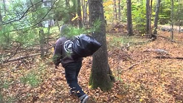 SIGMAN,IAN final film