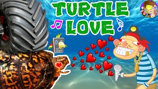 Turtle Love ? Raptain Hook (WE SAVED AN INJURED TURTLE FUNnel Vision Pet Smart Habitat Music Video)