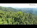 Ausflug El Yunque National Forest, Puerto Rico