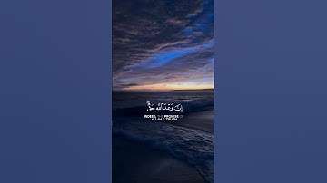 يَا أَيُّهَا النَّاسُ اتَّقُوا رَبَّكُمْ وَاخْشَوْا يَوْمًا..سورة لقمان..اسلام صبحی #راحة_نفسية