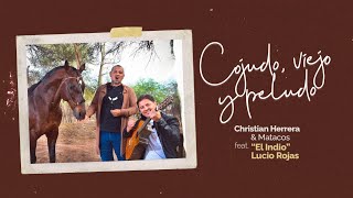 Video thumbnail of "Christian Herrera & Matacos Ft "El Indio" Lucio Rojas // Cojudo, Viejo y Peludo"