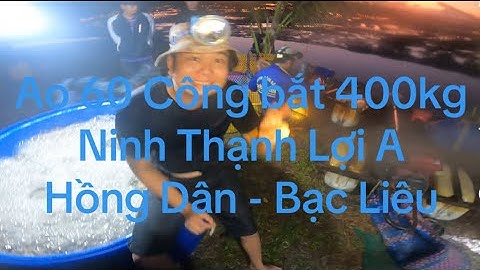 Ao 60 công bắt 400kg tôm càng lúc 2 giờ sáng tại Ninh Thạnh Lợi A - Hồng Dân - Bạc Liêu