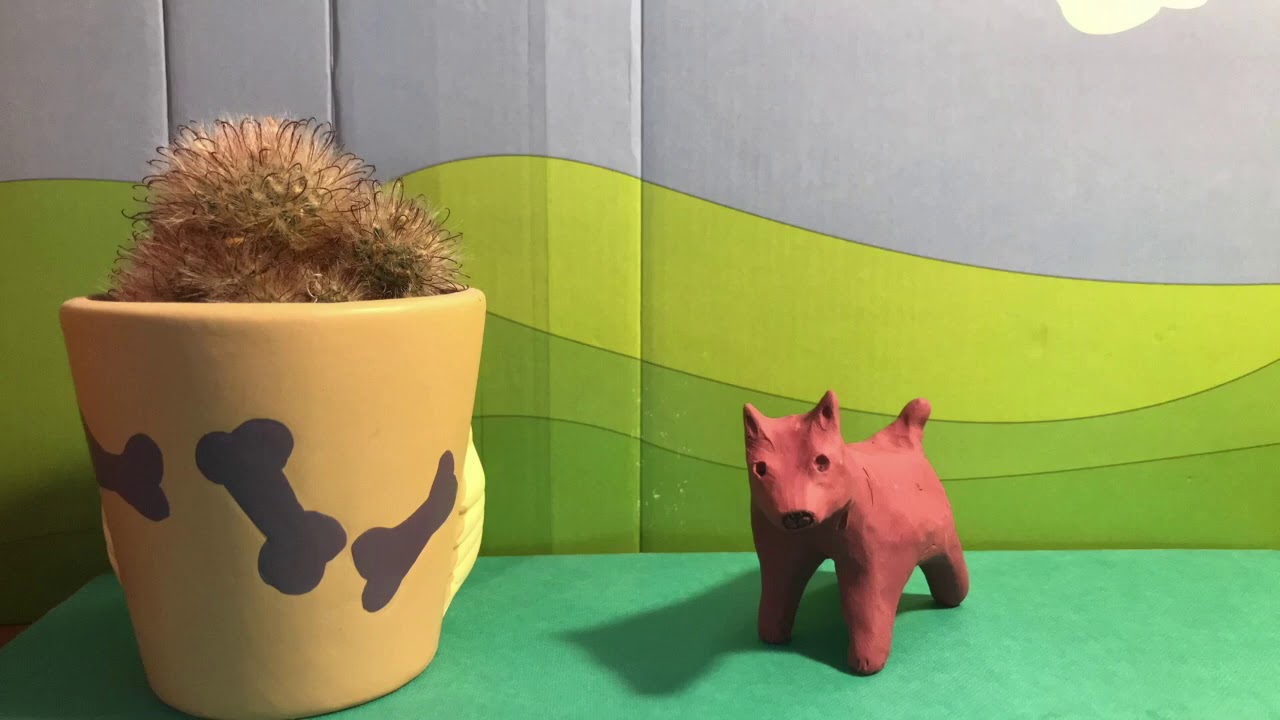 stills in motion (but still chaos)