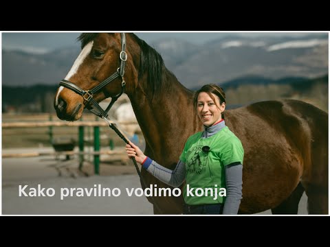 Video: Kako Jahati Konja Kot Pravi Gospod