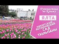 Крым. Ялта. Тюльпаны в Никитском ботаническом саду сегодня