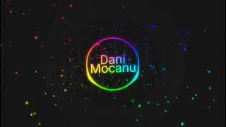 Dani Mocanu - Banii official Remix2021
