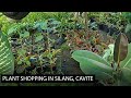 Plant shopping in Silang, Cavite