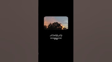 سورة غافر : الآيات 60 - 62