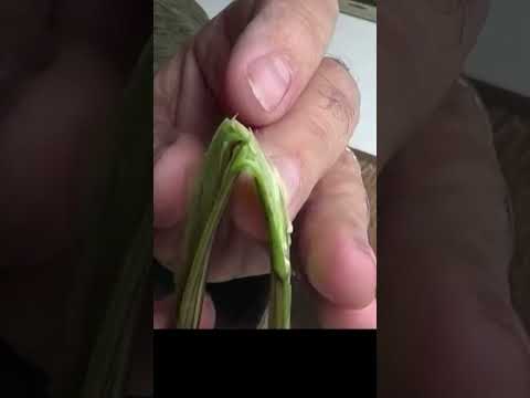 Part 2 -