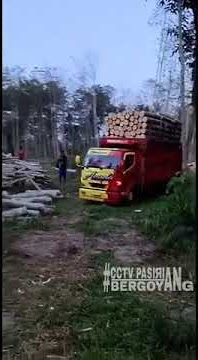 ARSYLA - TWO AGNESIA - SENGON BALAP BUKAN KALENG KALENG