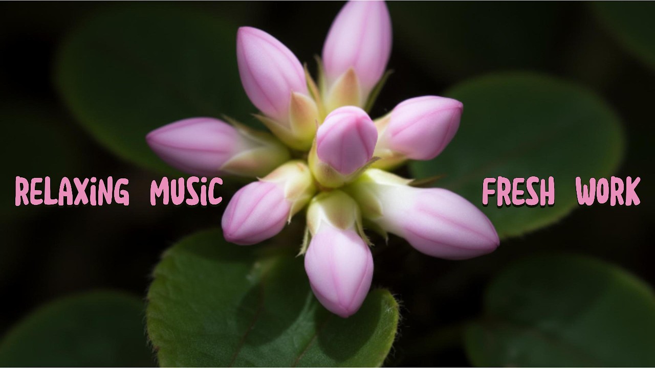 Did you feel relaxing now? #relaxingmusic  #studymusic  #mindfulness