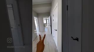 Продаю 3 ком квартиру в Бишкеке, Золотой квадрат. 0556 199178