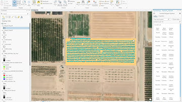 UAV raster to Polygon