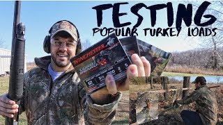 Testing Popular Turkey Loads from 20-50 Yards  S8 #73