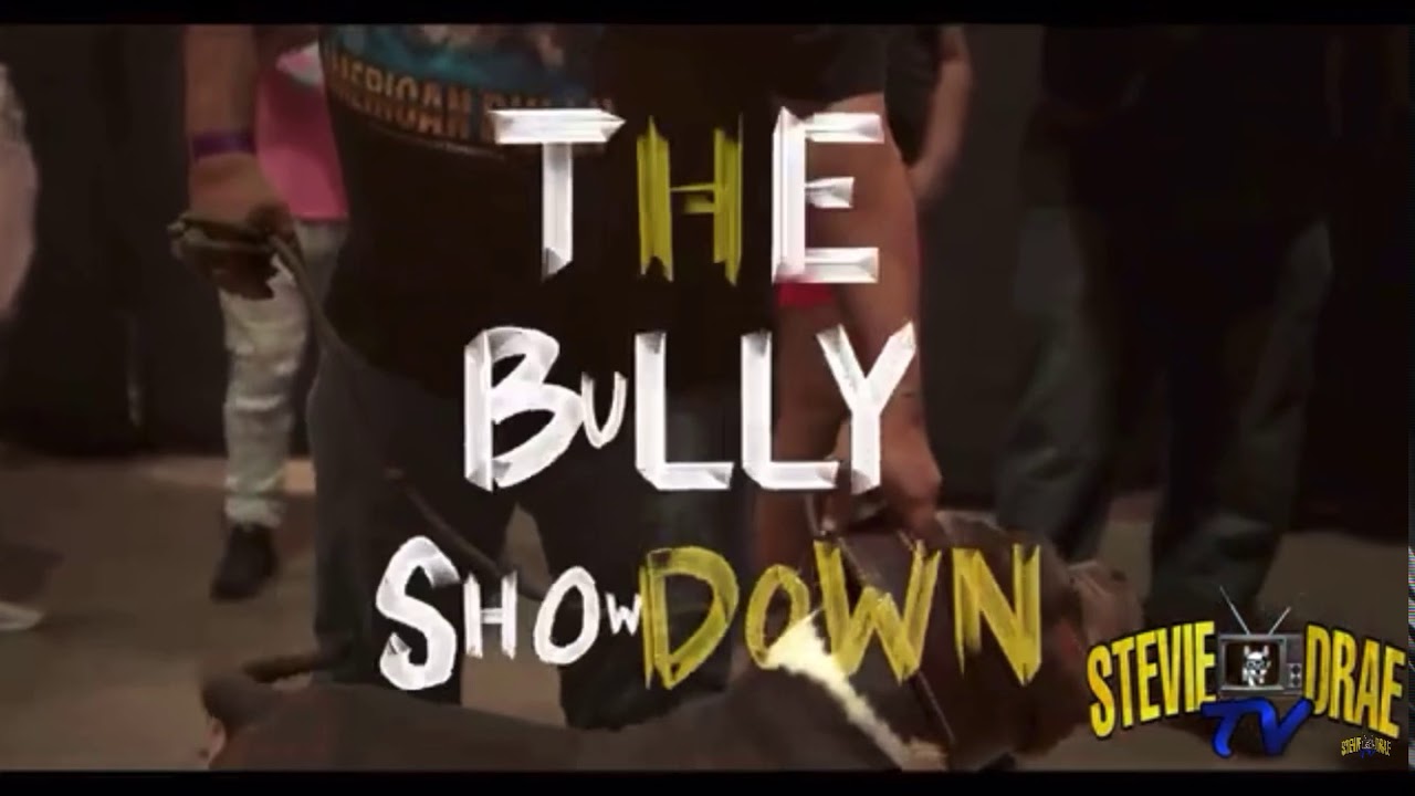 ABKC Jacksonville Bully Showdown III