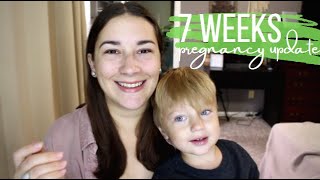 7 Weeks Pregnancy Update Vlog | Morning Sickness Takes Over