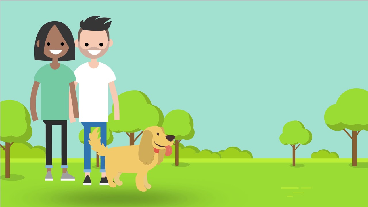 C Four Paws Pet Hotel YouTube