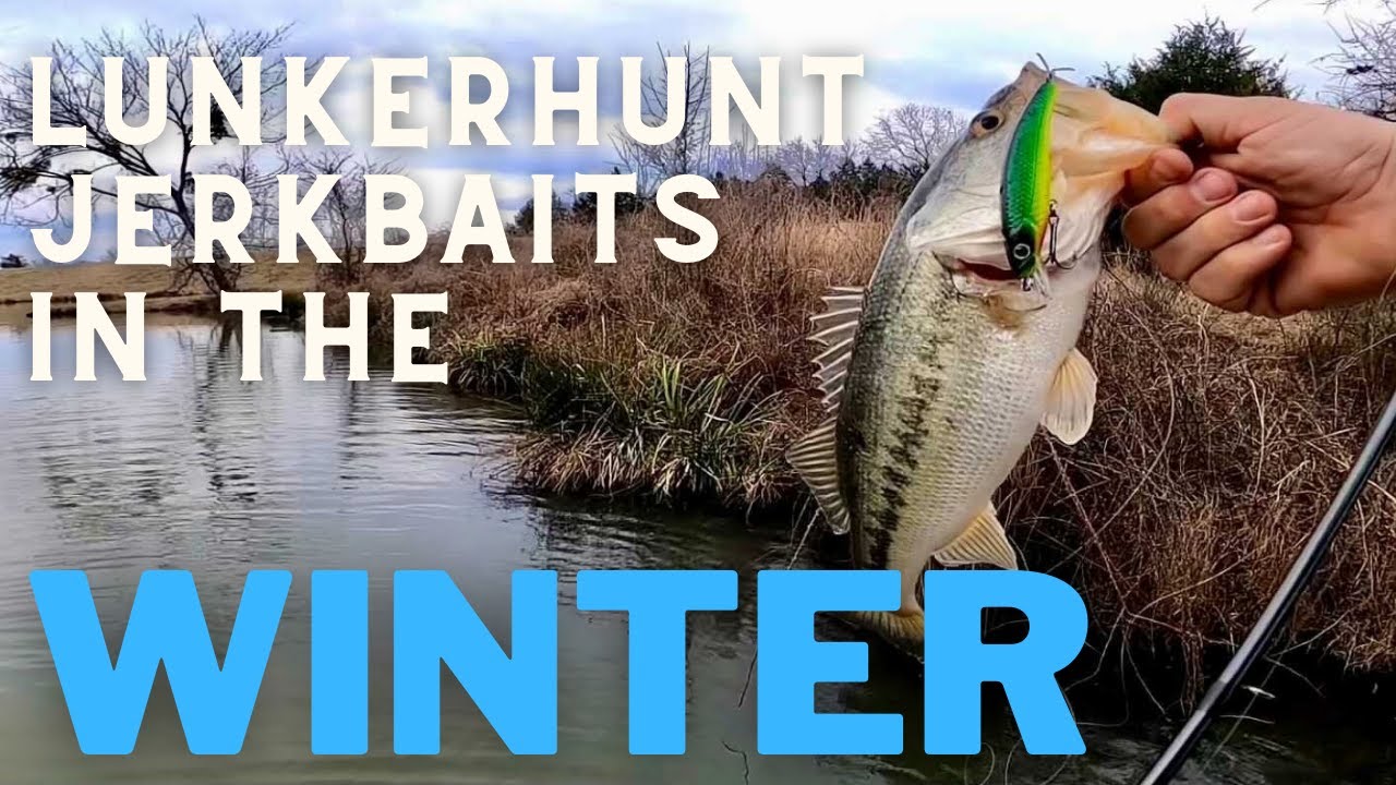 Jeremy Francis Fishes a LUNKERHUNT Jerkbait for Winter Bass 