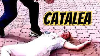 Catalea i Need Help  