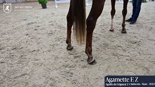 Agamette E Z