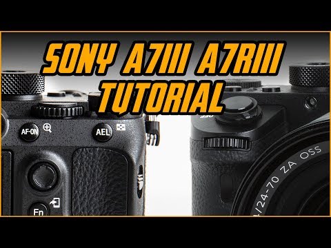 Sony A7iii / A7Riii Tutorial in 6 Minutes (With Close ups)