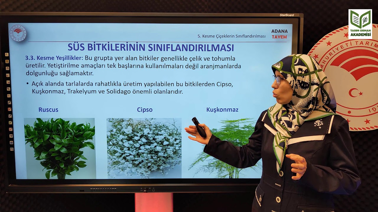 Süs Bitkileri Yetiştiriciliği 1. Bölüm - Peyzaj Mim.Canan Şimşek ÖZTÜRK - Adanatayem