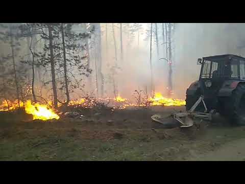 Петриківський район: вогнеборці ліквідували лісову пожежу