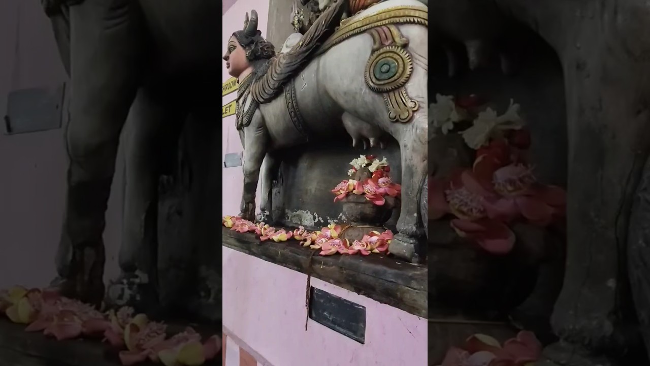 My birthday 🎈🎂 temple visit mini vlog