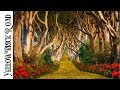 Yellow Brick road Acrylic painting tutorial step by step LIVE stream | TheArtSherpa