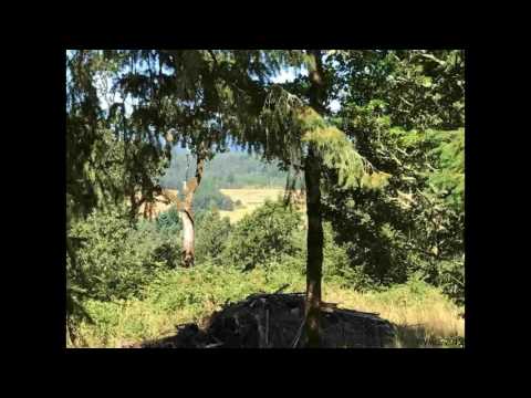 4584 S Kings Valley, Dallas, OR home video tour