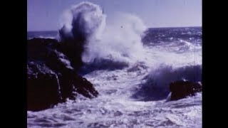 Pacific Coast Nature, 1950s - 045015- Footage File