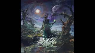 Watch Signs Of The Swarm The Blood video