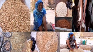 Download Lagu #Ajaja midhaan shorba,shiroo akkasuma midhaan marqaa soomaf qopheesse kan 04 deemu MP3