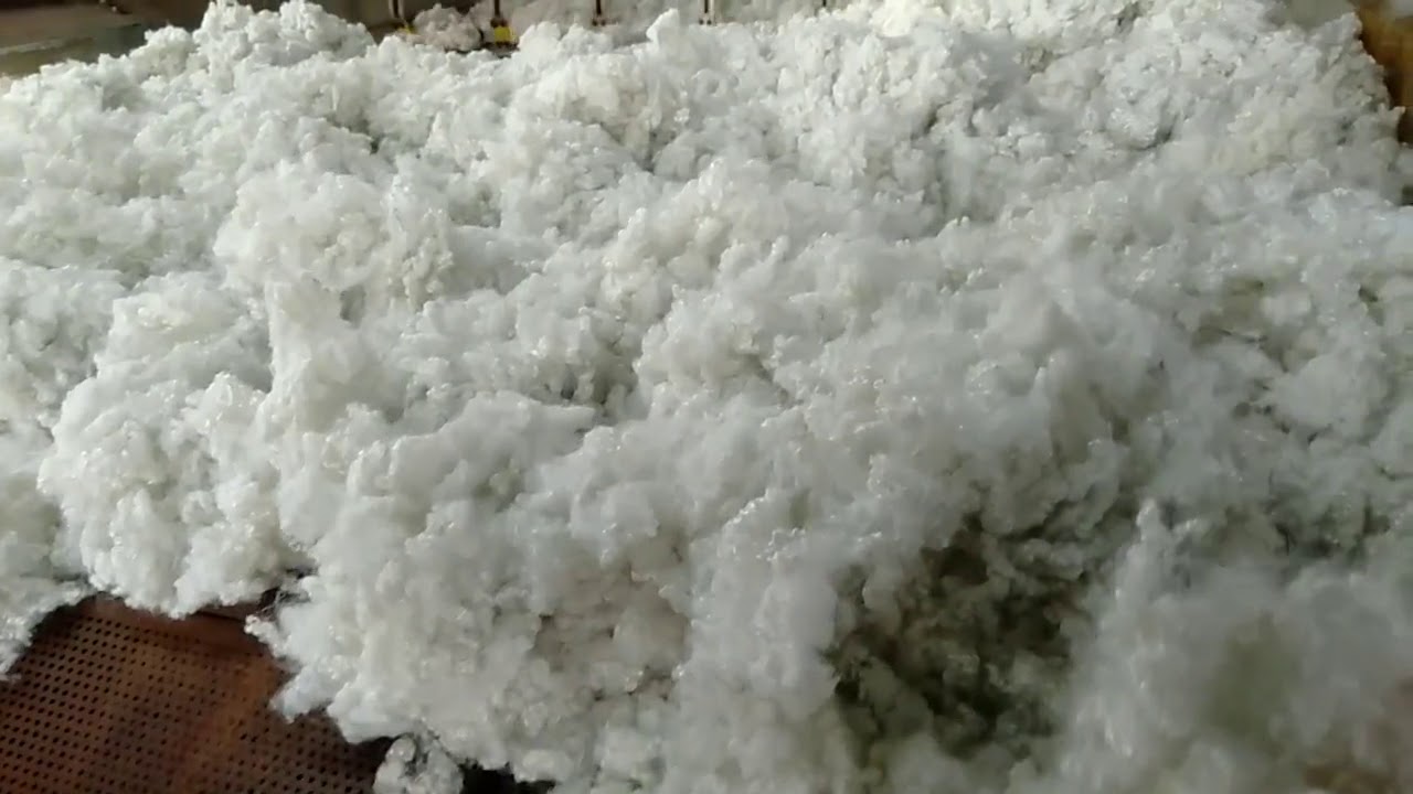 Hollow Conjugate Fiber Siliconised and Dry