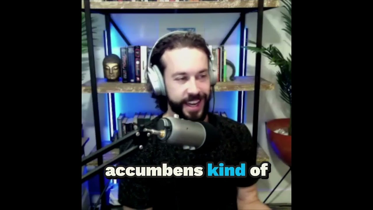 Differential Impacts on Reward Circuitry: Abuse Versus Psychedelics