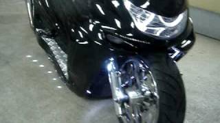 バルカン２灯・ＣＣＦＬイカリング・ＭＡＪＥＳＴＹ