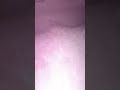 phone in the freezer