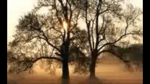 تلاوة رائعة للشيخ عبد الرحمن الشهري